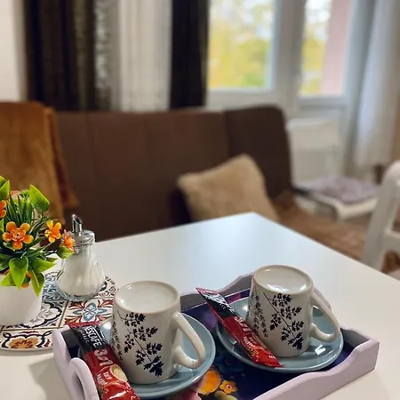 Apartment Cozy Center